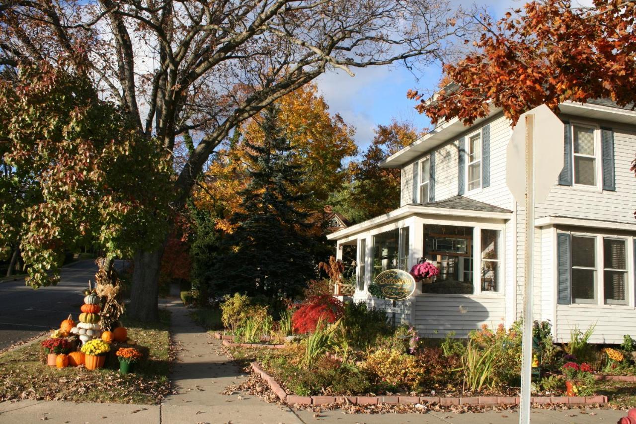 ساوغاتوك Serendipity Bed And Breakfast المظهر الخارجي الصورة